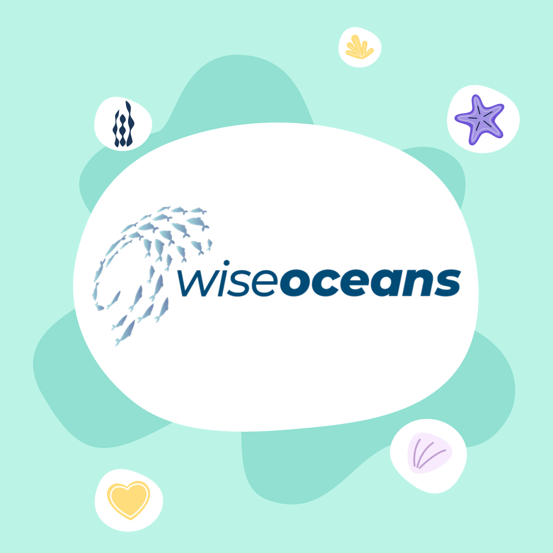 Preview image for: Customer feature: WiseOceans