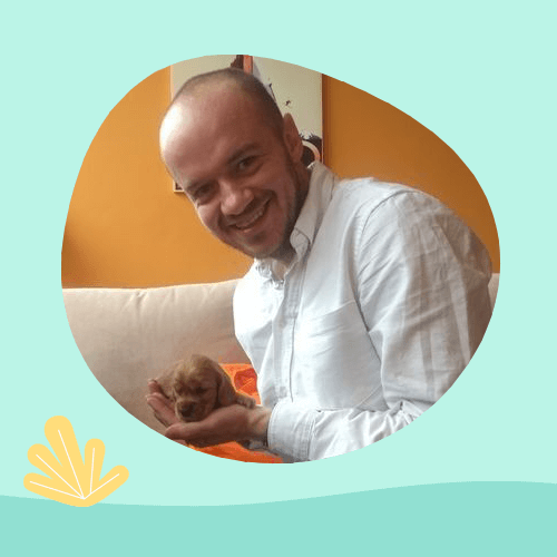 Preview image for: No CS Degree – celebrating self-taught developers with Pete Codes