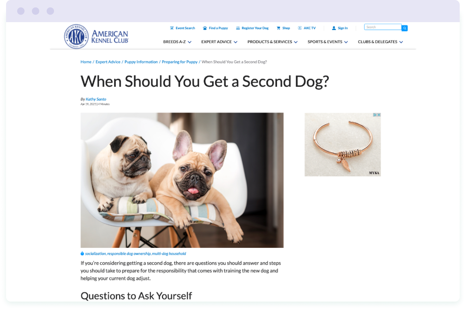 Screenshot of a page on the American Kennel Club website explaining when you should get a second dog