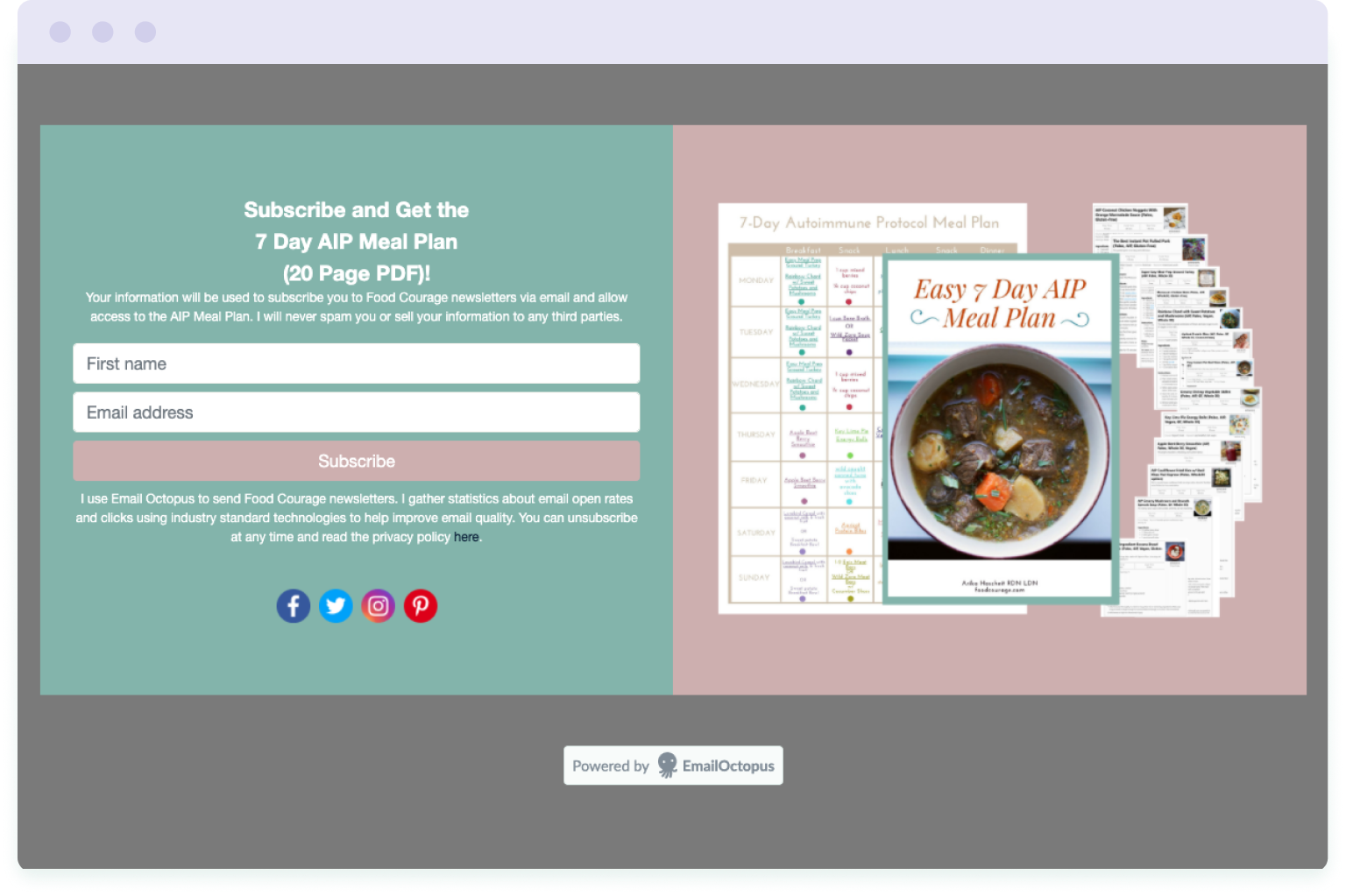 Image of a landing page with a lead magnet to grow the email list faster even without a website