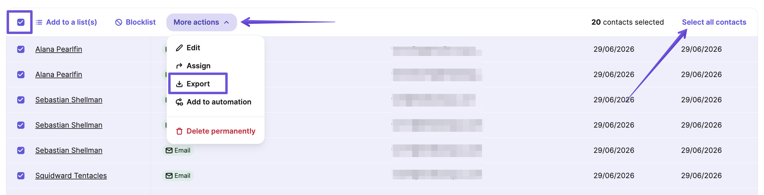 Exporting selected contacts in Brevo