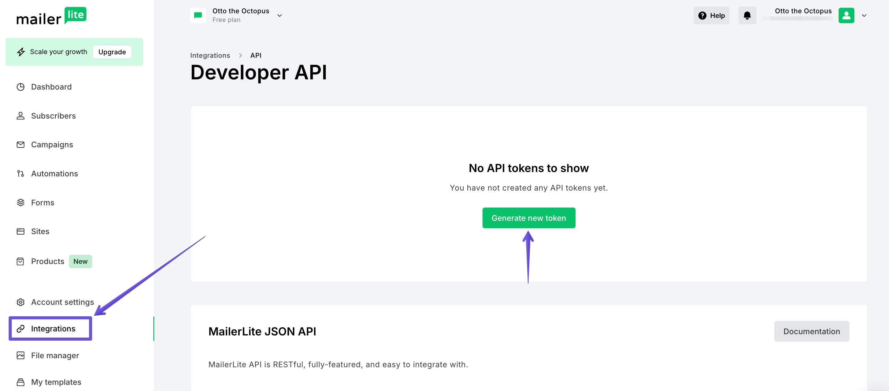 Developer APi in MailerLite