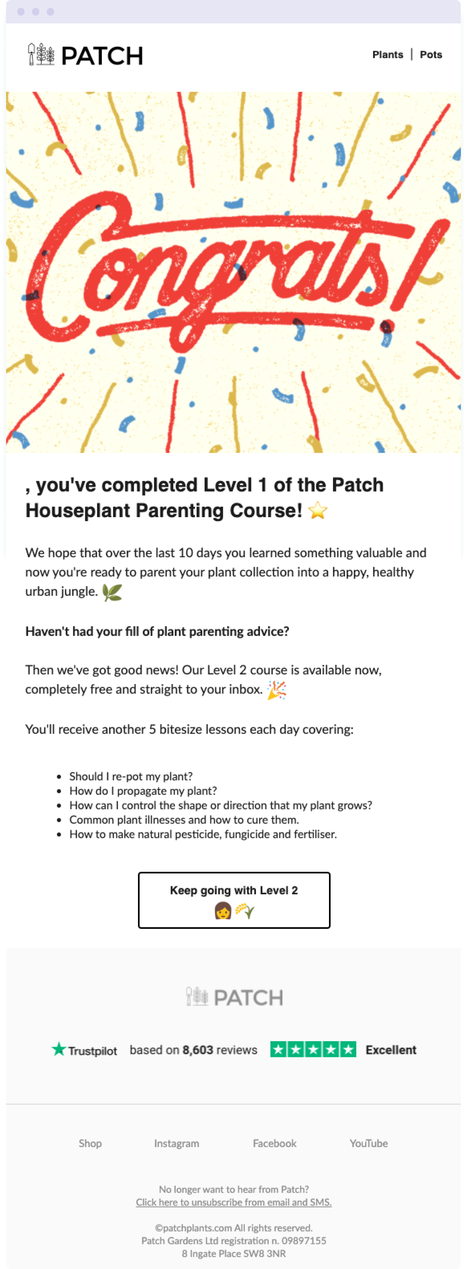 The final email in the Patch Plants' Houseplant Parenting email course – a great example of how to deliver even more value to your audience