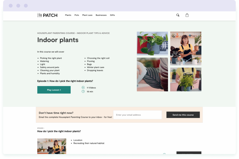 Image of the Patch Plants Houseplant Parenting email course landing page