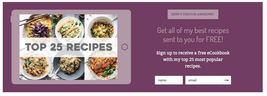 Sign-up form used to capture subscribers on the Pinch of Yum website