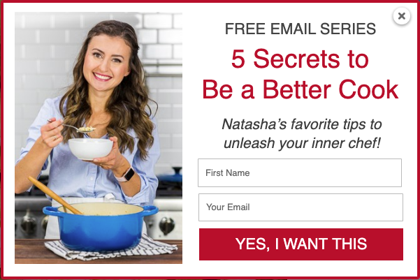 Pop-up sign up form on the Natasha's Kitchen website