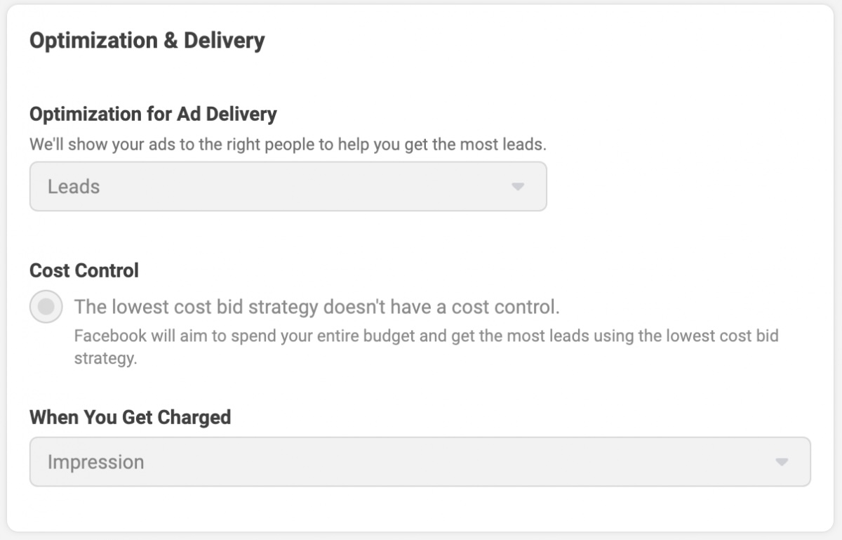 Image of Facebook Ads Manager to illustrate step 9 of creating a Facebook Lead Ad