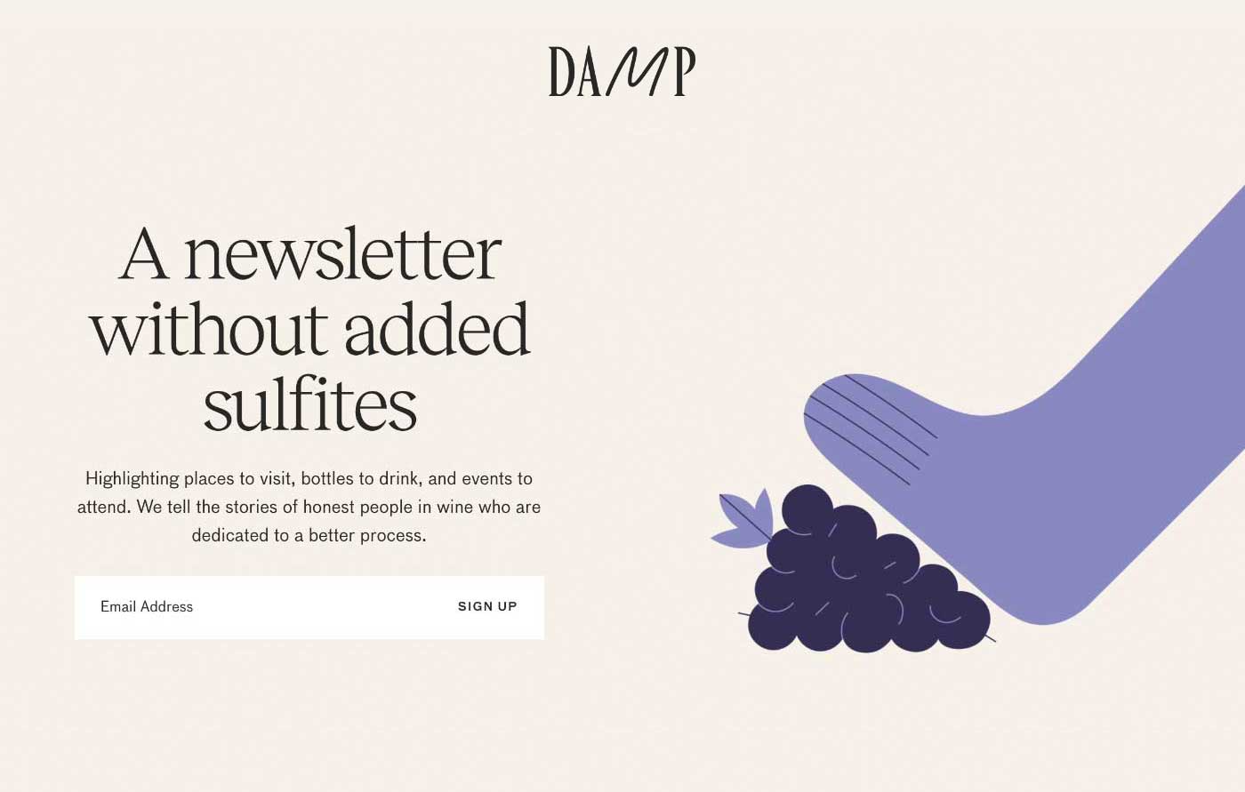Screenshot of the newsletter landing page from Damp