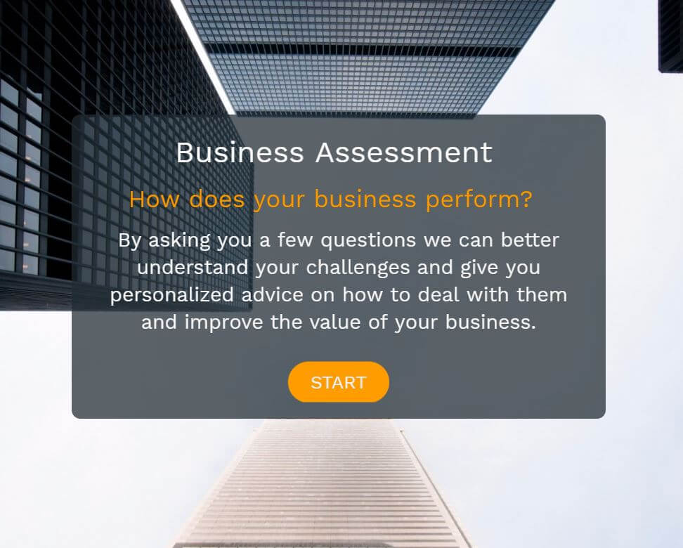 Example of a business assessment used by B2B to attract and qualify leads