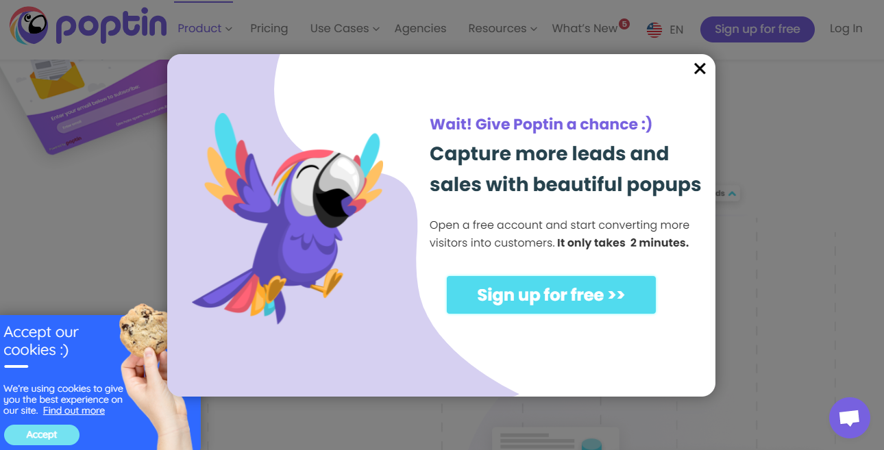 Example of a pop-up form that can be used on your website to convert visitors into subscribers