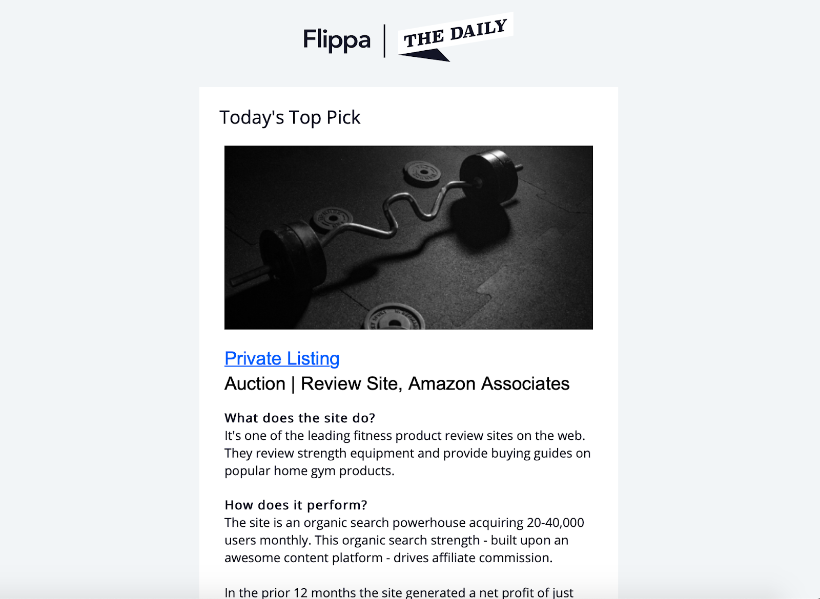 Example of a newsletter from Flippa