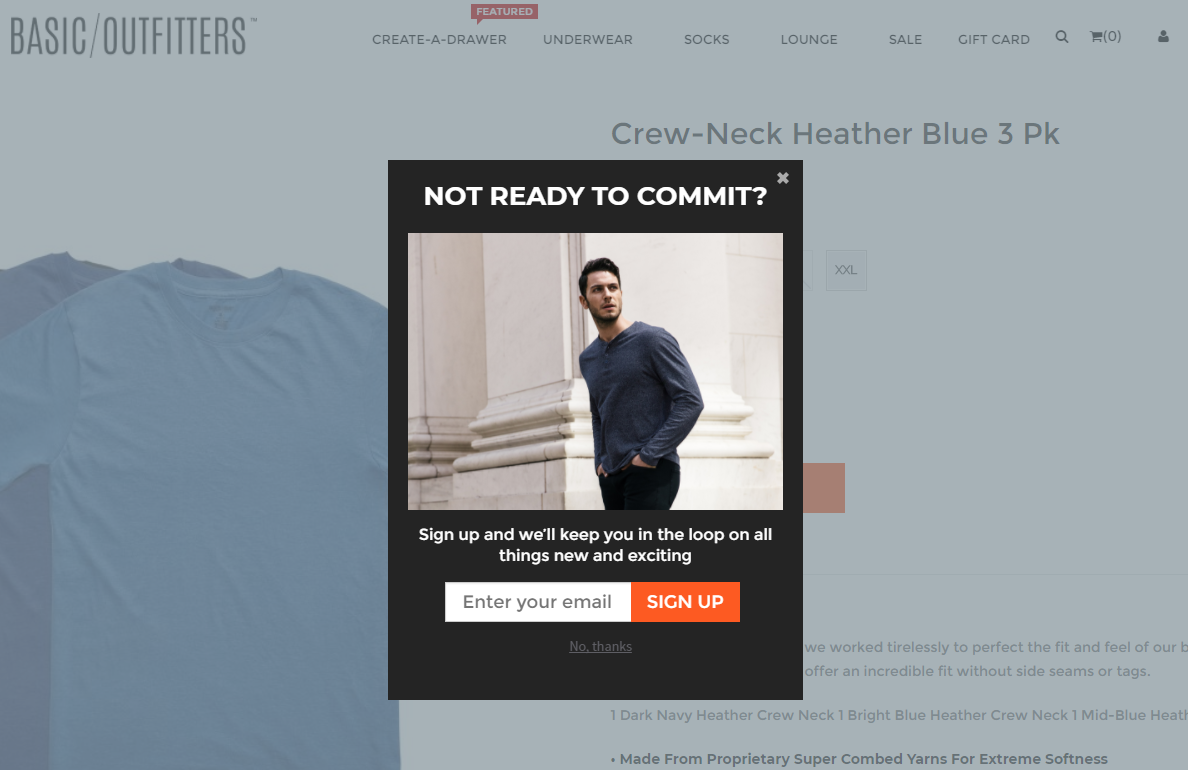 Example of an opt-in form on the Basic Outfitters – using opt-in forms is important for growing your mailing list so that you can send email marketing campaigns