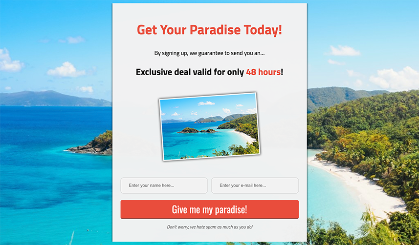 Second image of an Optin Ninja opt-in form that asks for the website visitor to provide their name and email to get an exclusive deal. 