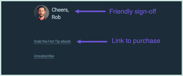 The footer used in the Landing Page Hot Tips email course